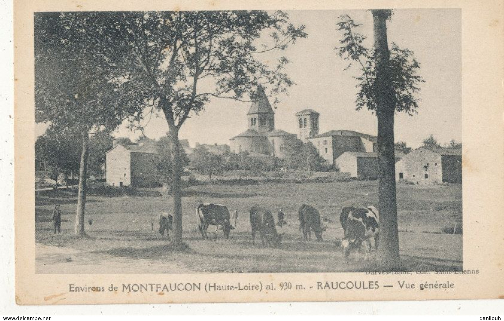 43 // Environs De MONTFAUCON   RAUCOULES   Vue Générale - Montfaucon En Velay