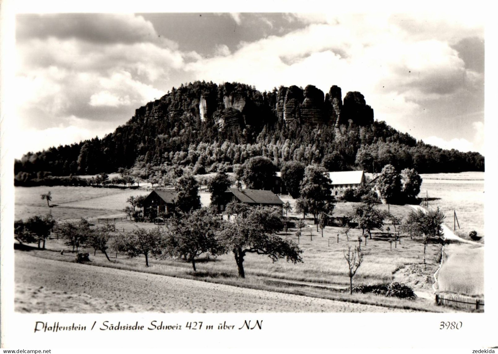 H1259 - Pfaffenstein Sächsische Schweiz - Foto Hering - Koenigstein (Saechs. Schw.)