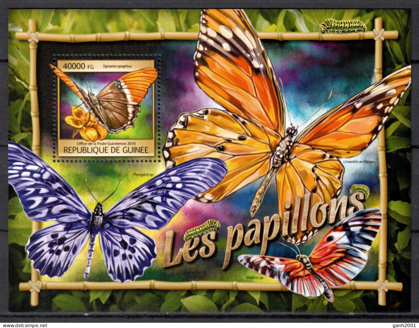 Guinea 2016 / Butterflies MNH Mariposas Papillons Schmetterlinge / Cu21753  7-40 - Vlinders