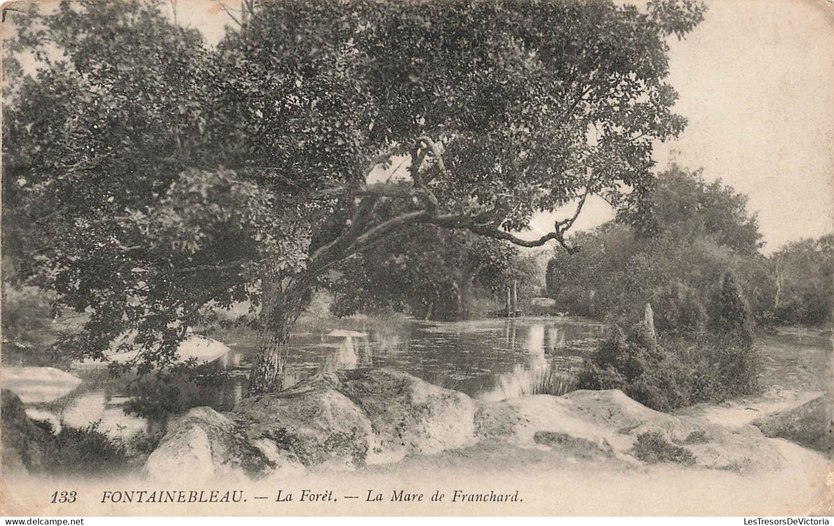 FRANCE - Fontainebleau - Vue De La Forêt - La Mare De Franchard - Vue Générale - Carte Postale Ancienne - Fontainebleau