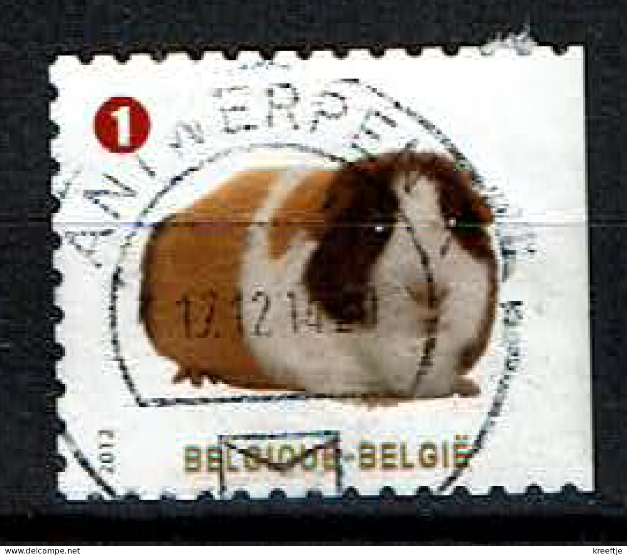 België Belgique Belgium Belgien    Cavia Uit 2012 (OBP 4231 ) - Oblitérés