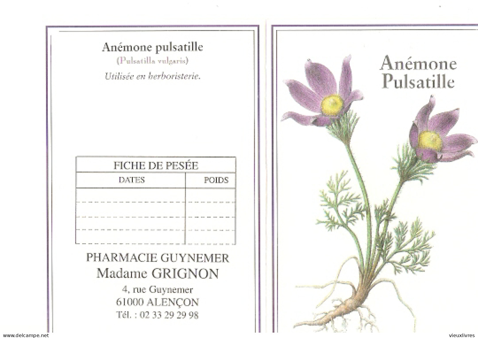 Calendrier De Poche Anémone Pulsatille Orne Alençon Pharmacie 2000 - Small : 1991-00