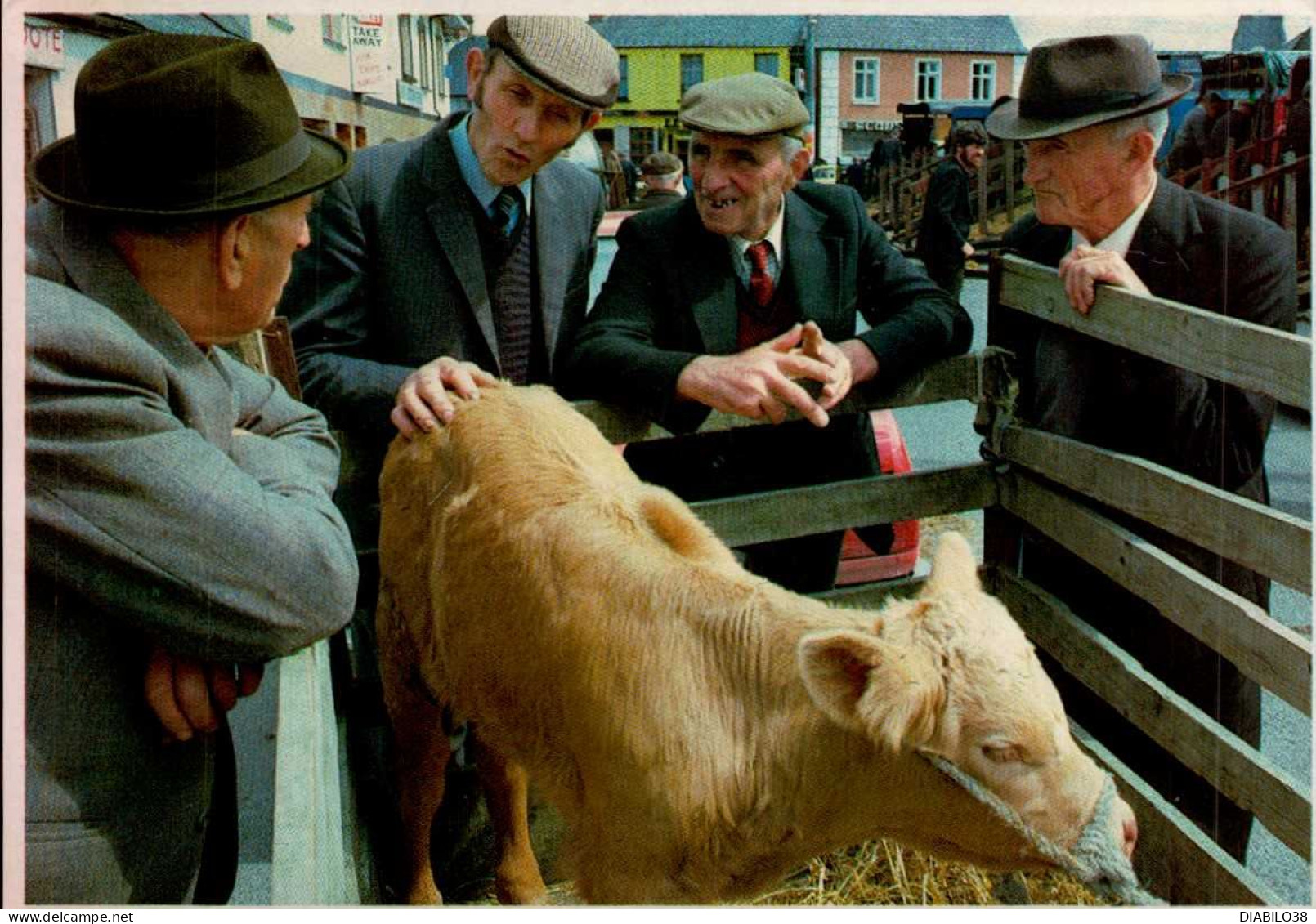 MARKET DAY  ( IRELAND ) - Sonstige & Ohne Zuordnung