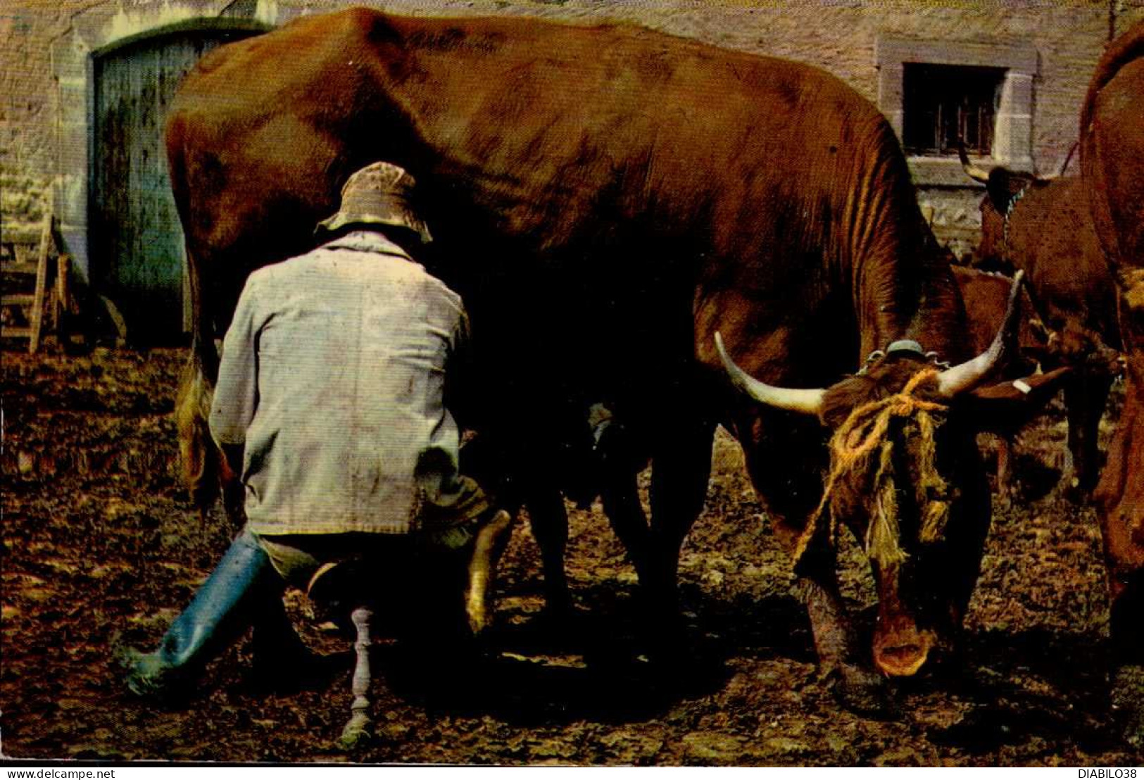 LA TRAITE _ LA RENTREE DES FOINS ( 2 CARTES ) - Bauern