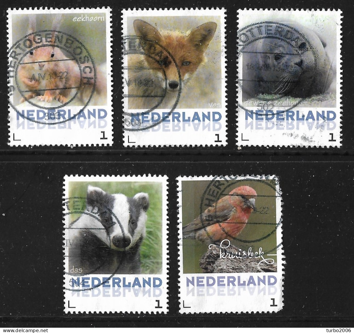 2013 Persoonlijke Zegel Dieren 5 Verschillende Als NVPH 3013 - Personnalized Stamps