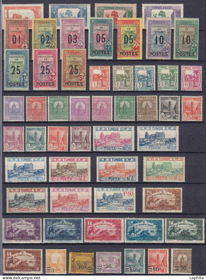 - TUNISIE, 1888/1955, X, N°1/401 + PA 1/21 + CP 1/25 + Préo 1/8 + T 1/65, En Pochette - Cote : 5900 € - Other & Unclassified