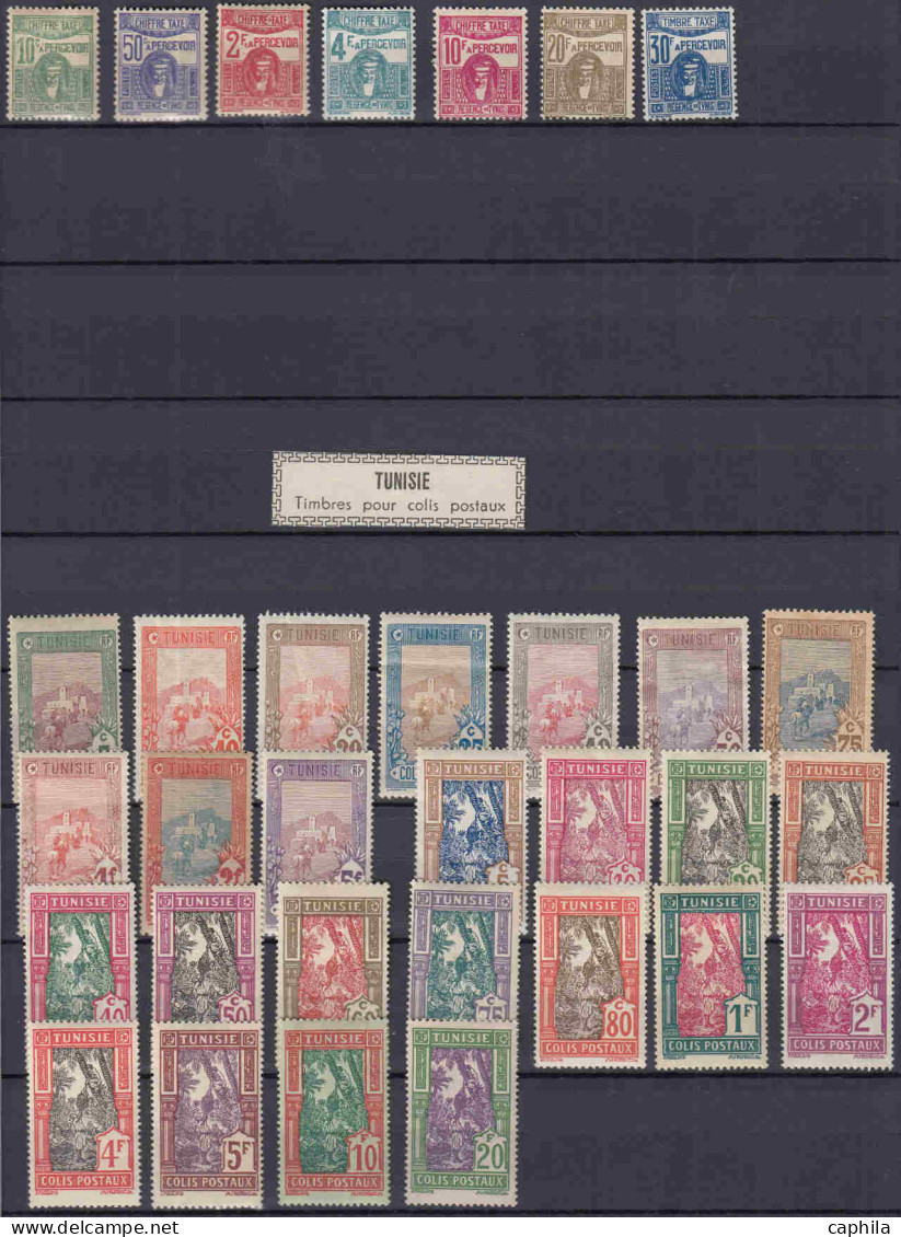 - TUNISIE, 1888/1955, X, n°1/401 + PA 1/21 + CP 1/25 + Préo 1/8 + T 1/65, en pochette - Cote : 5900 €