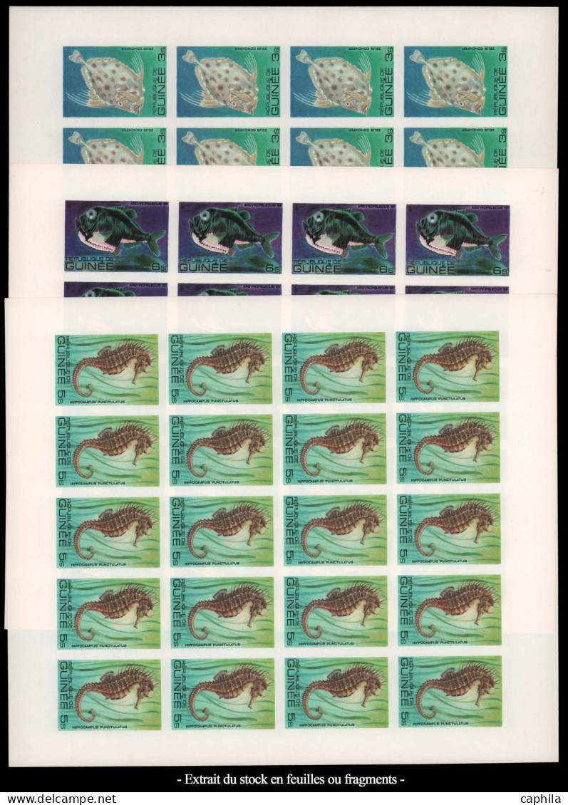 - GUINEE, 1967/1983, XX, collection de non dentelés, en feuilles ou fragments, en enveloppe, cote dentelés: 4800 €