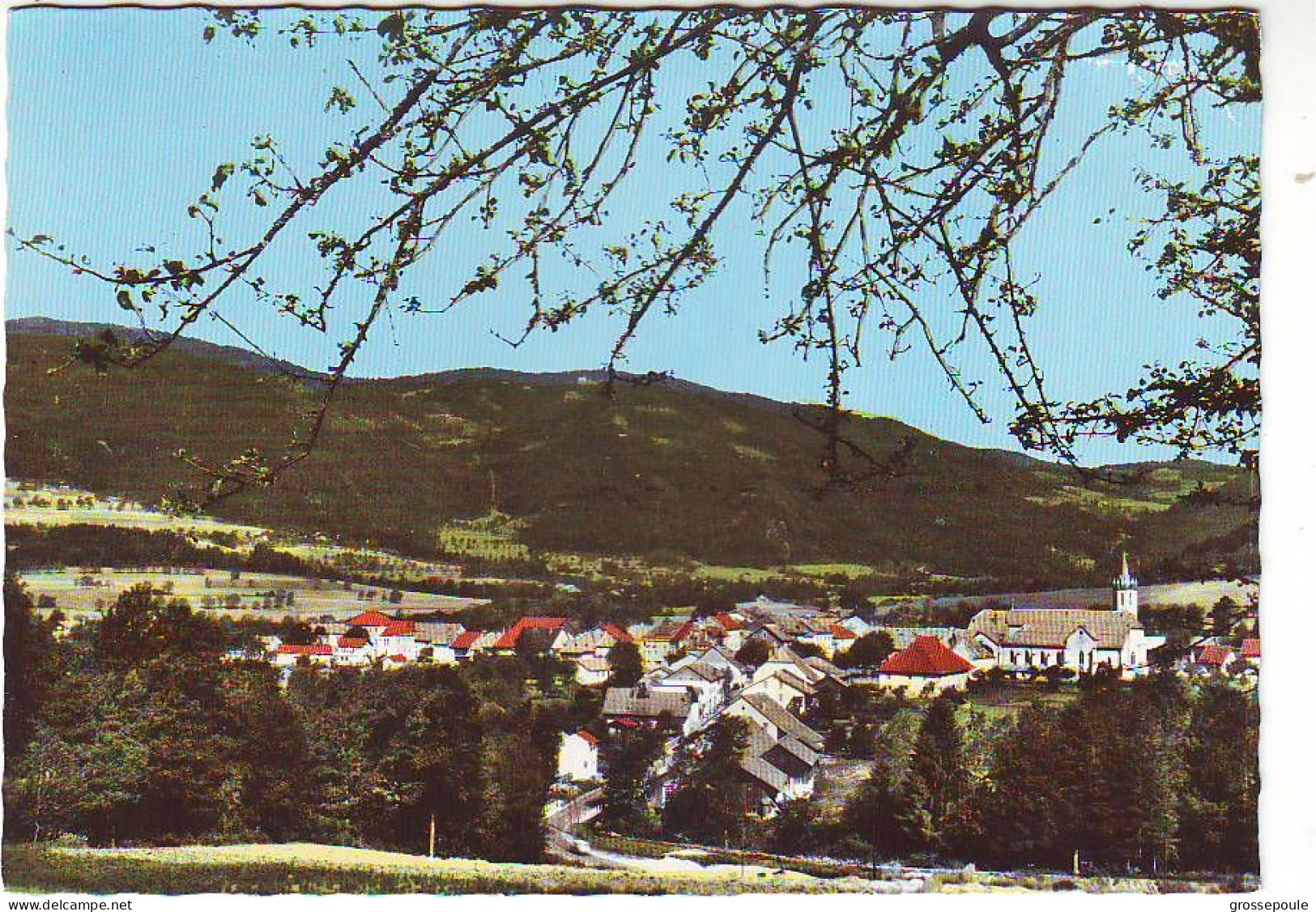 74 BOEGE - HAUTE SAVOIE Vue Générale - Boëge