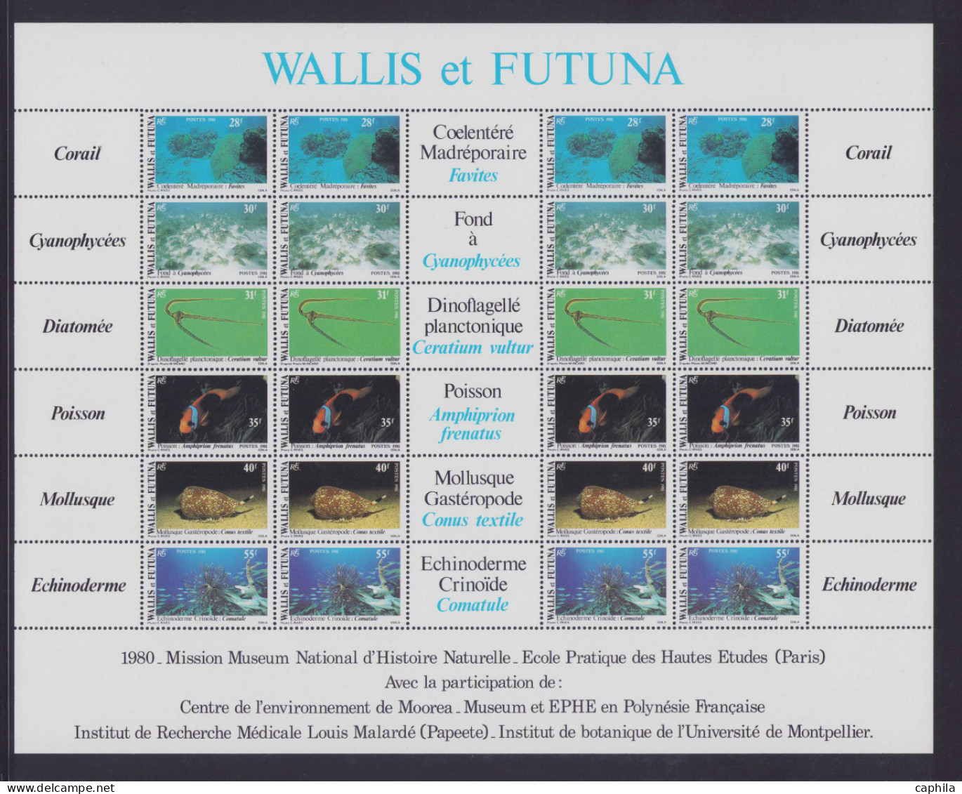 - WALLIS & FUTUNA, 1980/2004, Lot De Feuilles Complètes, Entre Le N°259 Et 627 + PA 151 Et 217, En Album Safe - Cote : 5 - Collections, Lots & Series