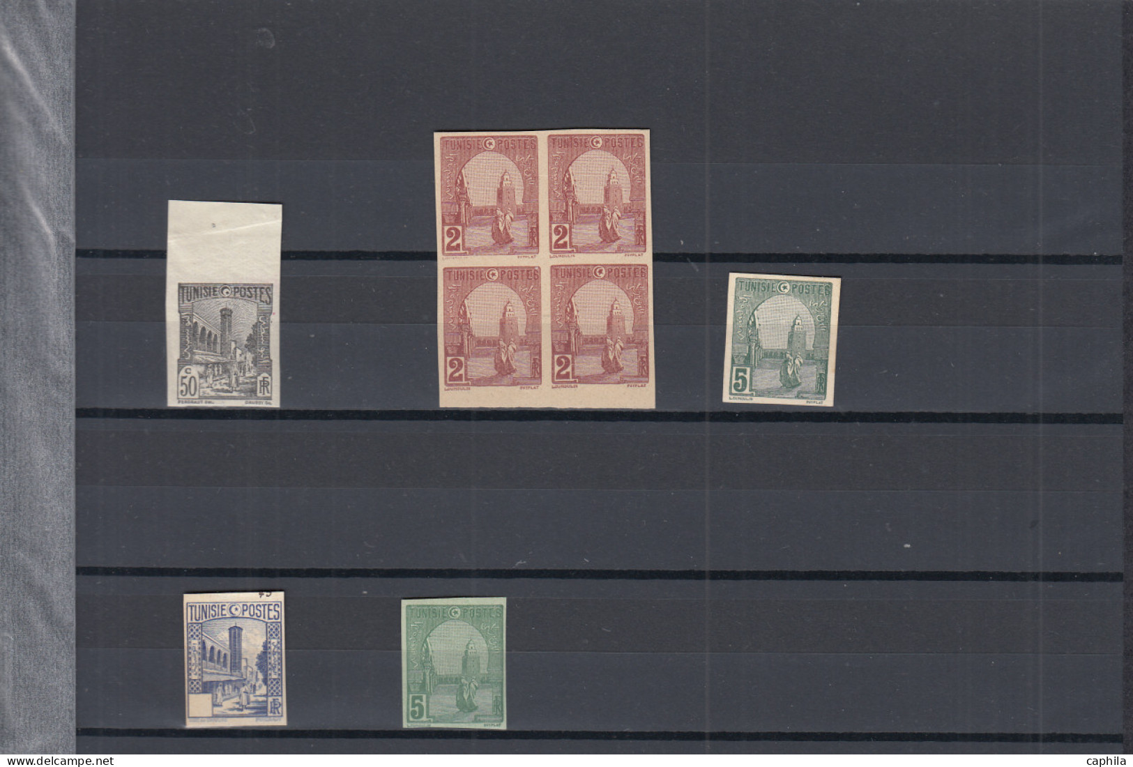 - TUNISIE, 1954/1959, XX, X, Majorité XX, Ensemble De 424 ND Et 43 EPL, En Album Lindner - Sonstige & Ohne Zuordnung