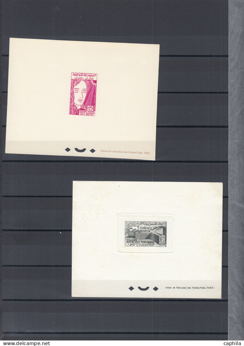 - TUNISIE, 1954/1959, XX, X, majorité XX, ensemble de 424 ND et 43 EPL, en album Lindner