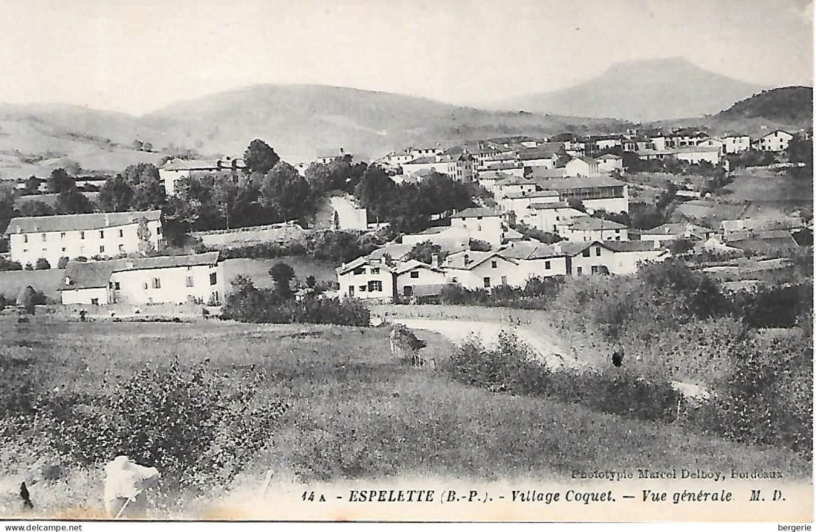 C/256              64     Espelette     -    Vue Générale - Espelette