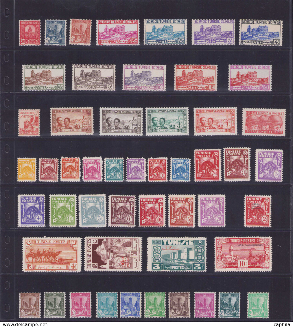 - TUNISIE, 1902/1955, XX, n°28/401 + PA 1/21 + T 37/65 + CP 1/25, en pochette - Cote : 4200 €