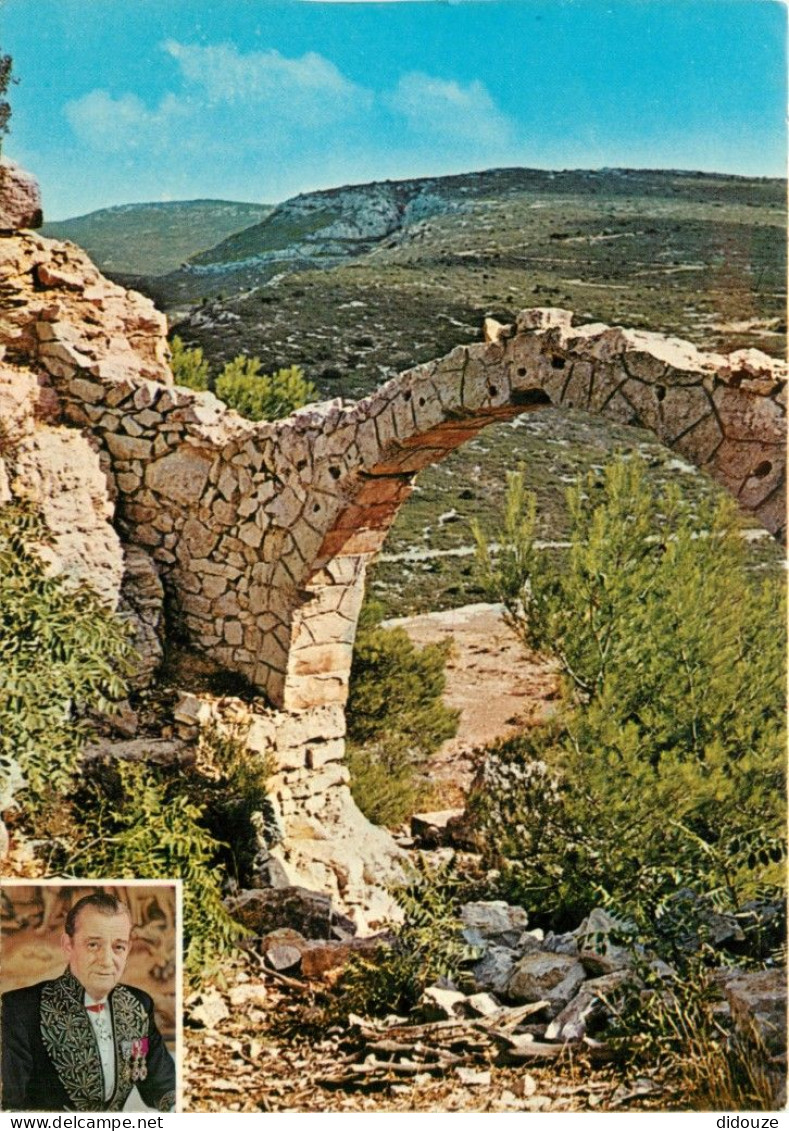 13 - Aubagne - Les Paysages Chantés Par Marcel Pagnol - Les Collines Vues D'Aubignane - CPM - Voir Scans Recto-Verso - Aubagne