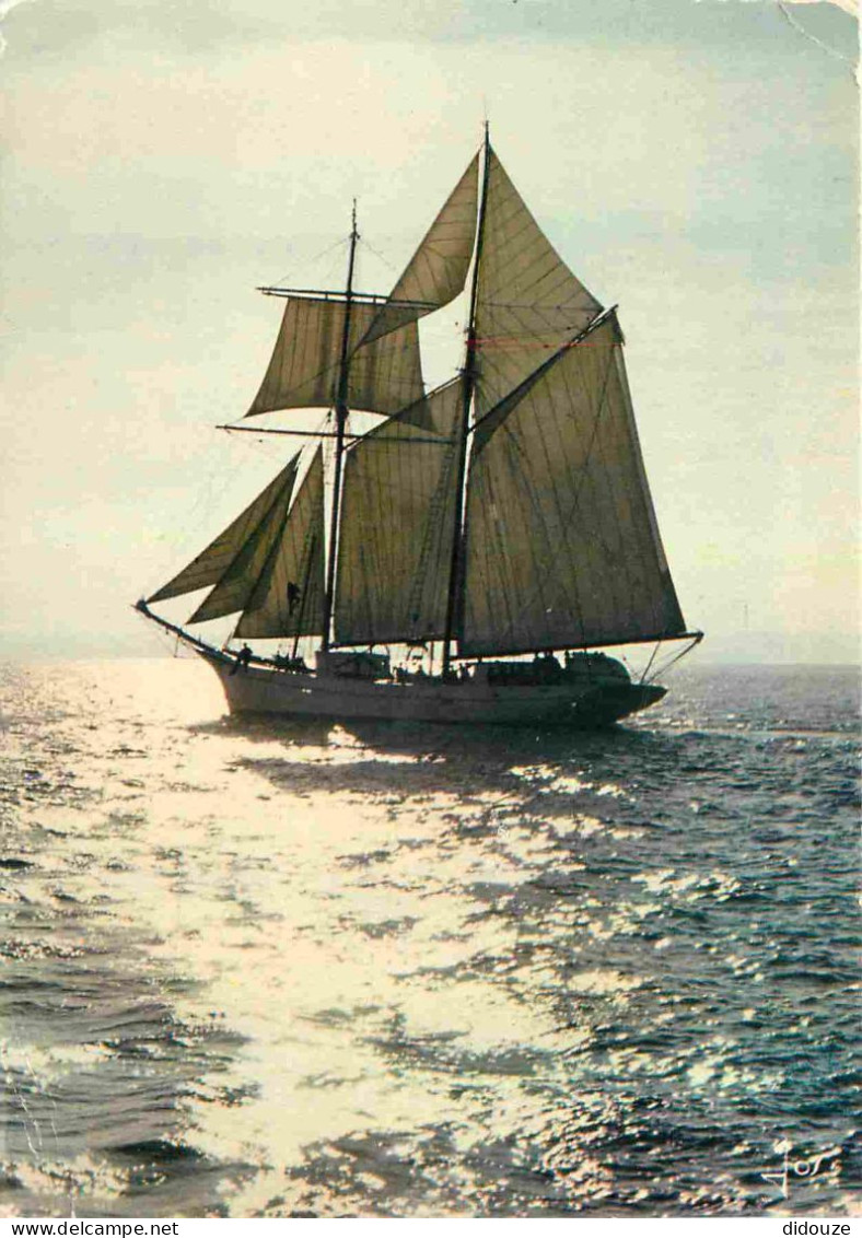 Bateaux - Voiliers - Bretagne - Une Barque Aux Voiles Blanches Court Là-bas - CPM - Voir Scans Recto-Verso - Voiliers