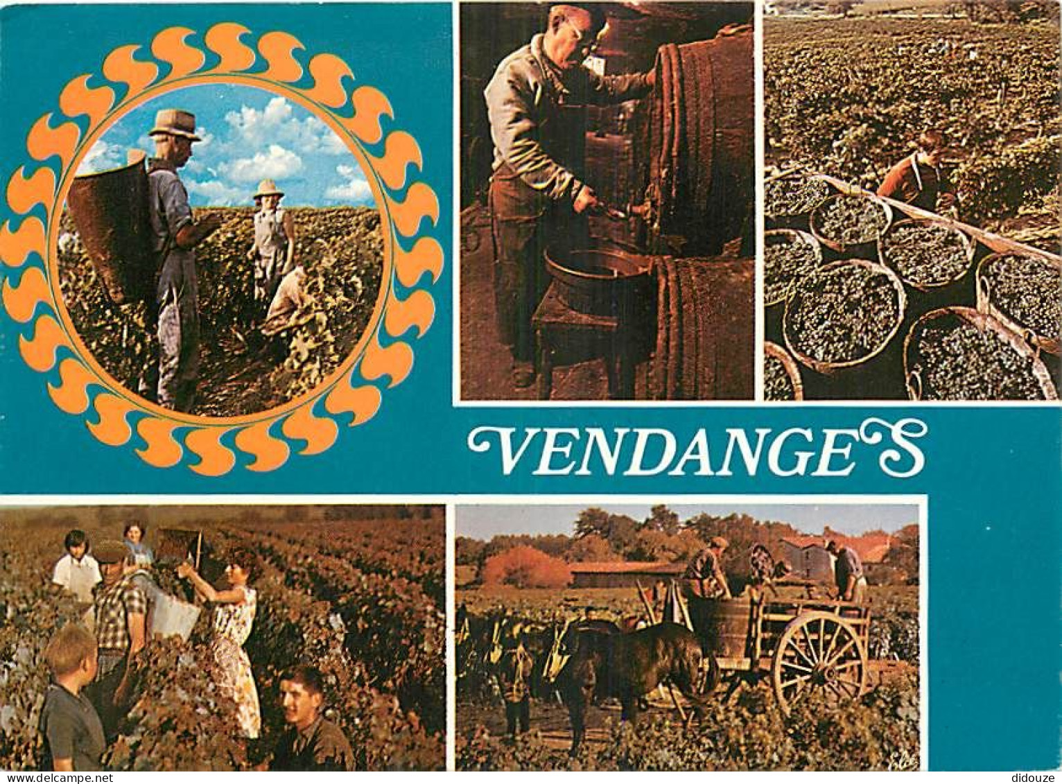 Vignes - Vendanges - Multivues - CPM - Carte Neuve - Voir Scans Recto-Verso - Wijnbouw