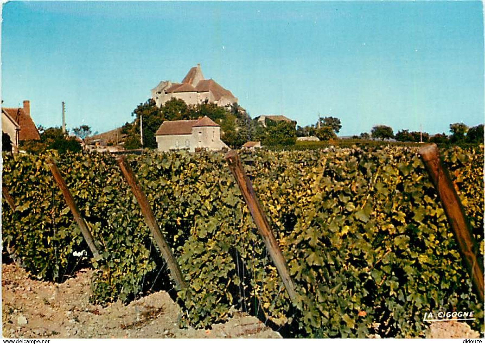 Vignes - Saint Pourcain Sur Sioule - Ses Vignobles Et Château De Louchy - CPM - Carte Neuve - Voir Scans Recto-Verso - Vignes