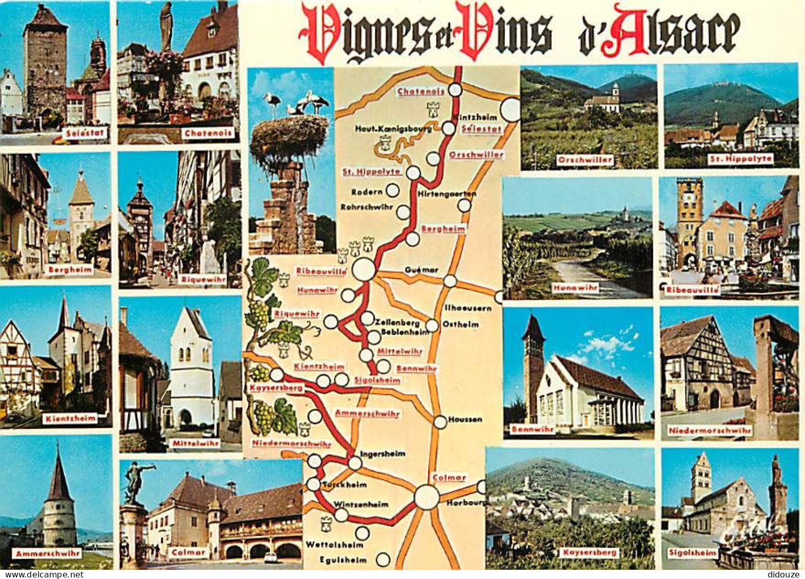 Vignes - Alsace - Multivues - La Route Du Vin De Chatenois à Colmar - Carte Géographique - CPM - Carte Neuve - Voir Scan - Weinberge