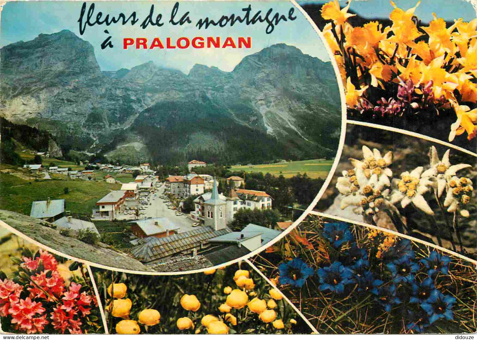73 - Pralognan La Vanoise - Multivues - Fleurs De Montagne - CPM - Voir Scans Recto-Verso - Pralognan-la-Vanoise