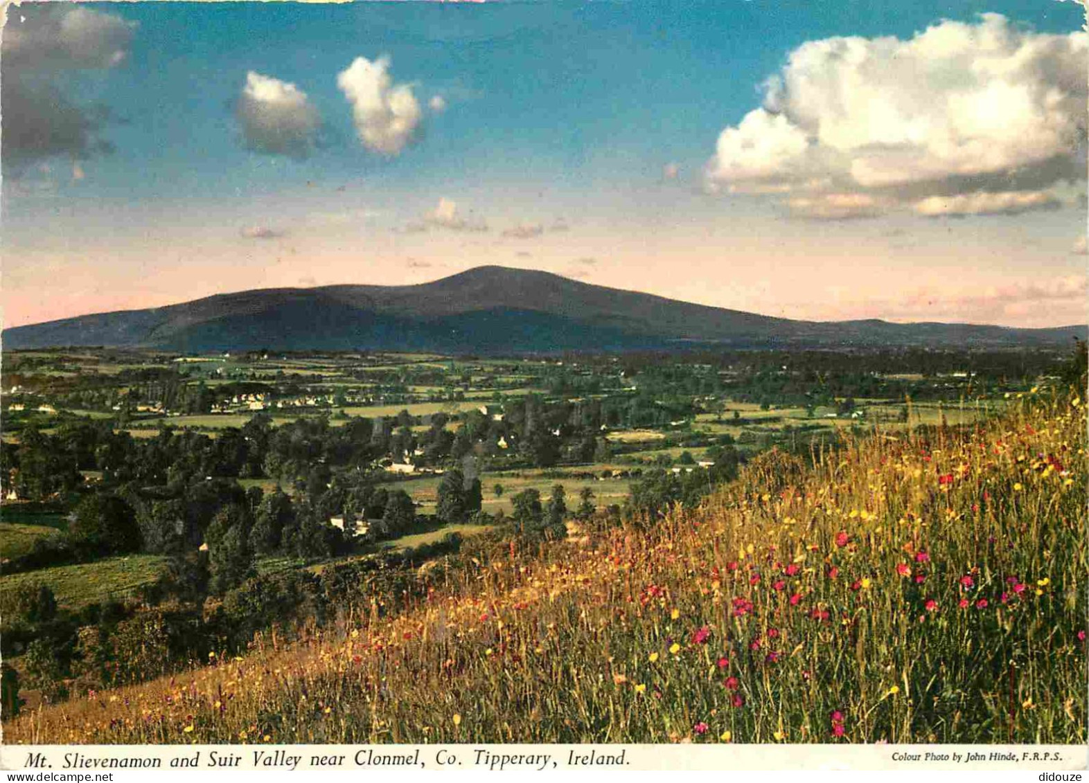 Irlande - Tipperary - Mt Slievenamon And Suir Valley Near Clonmel - CPM - Voir Scans Recto-Verso - Tipperary