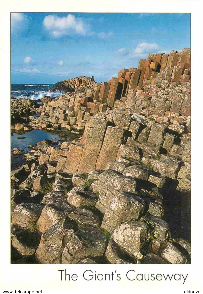 Irlande Du Nord - Antrim - Giants Causeway - CPM - Carte Neuve - Voir Scans Recto-Verso - Antrim