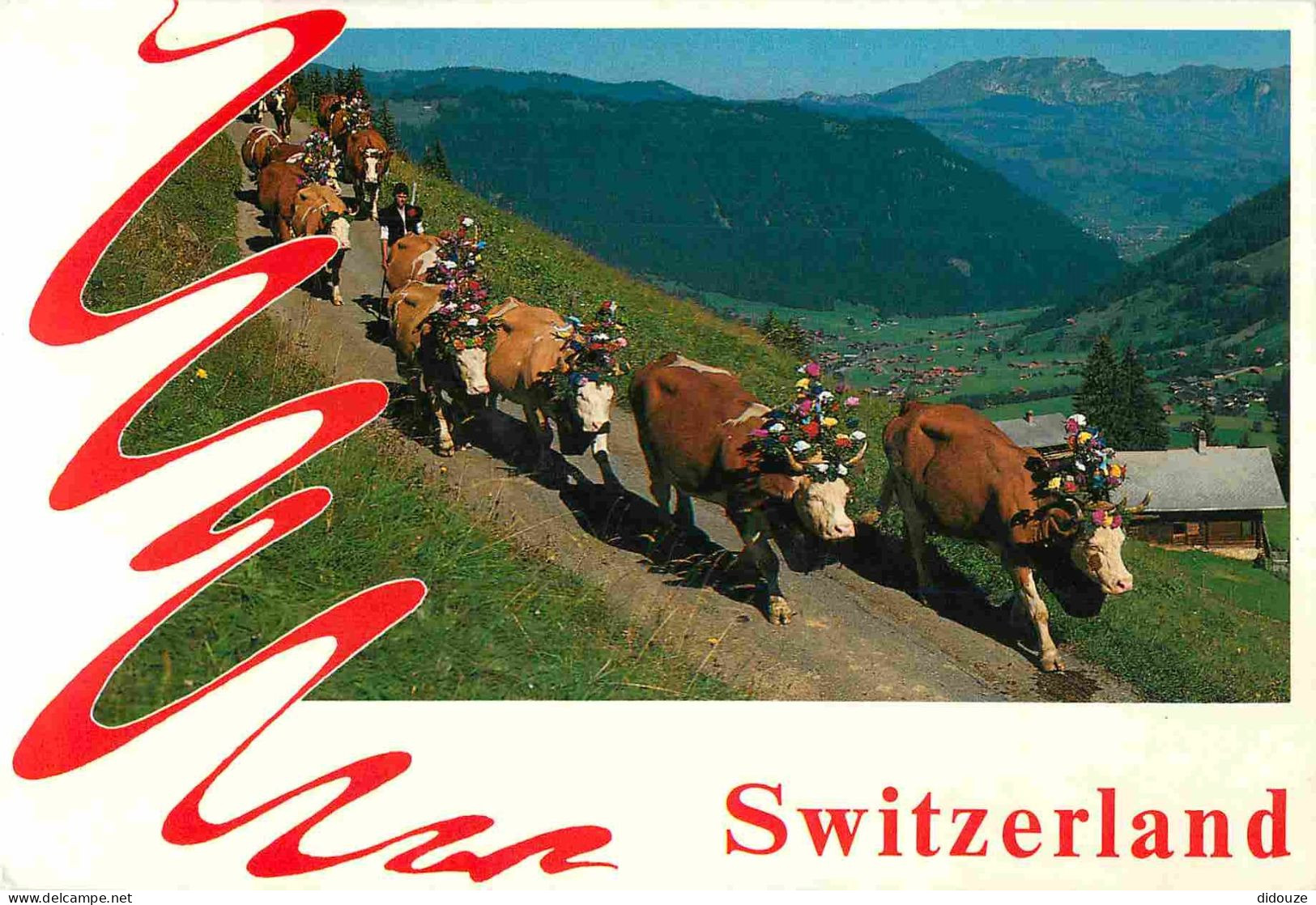 Animaux - Vaches - Suisse - Berner Oberland - AlPabzug Bei St Stephan - CPM - Voir Scans Recto-Verso - Vaches