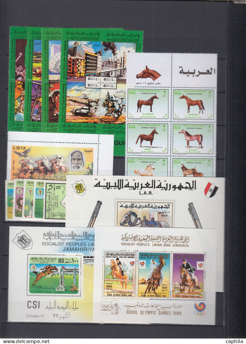 - CHEVAUX, XX, collection en 2 volumes dont qques non dentelés, albums Leuchtturm