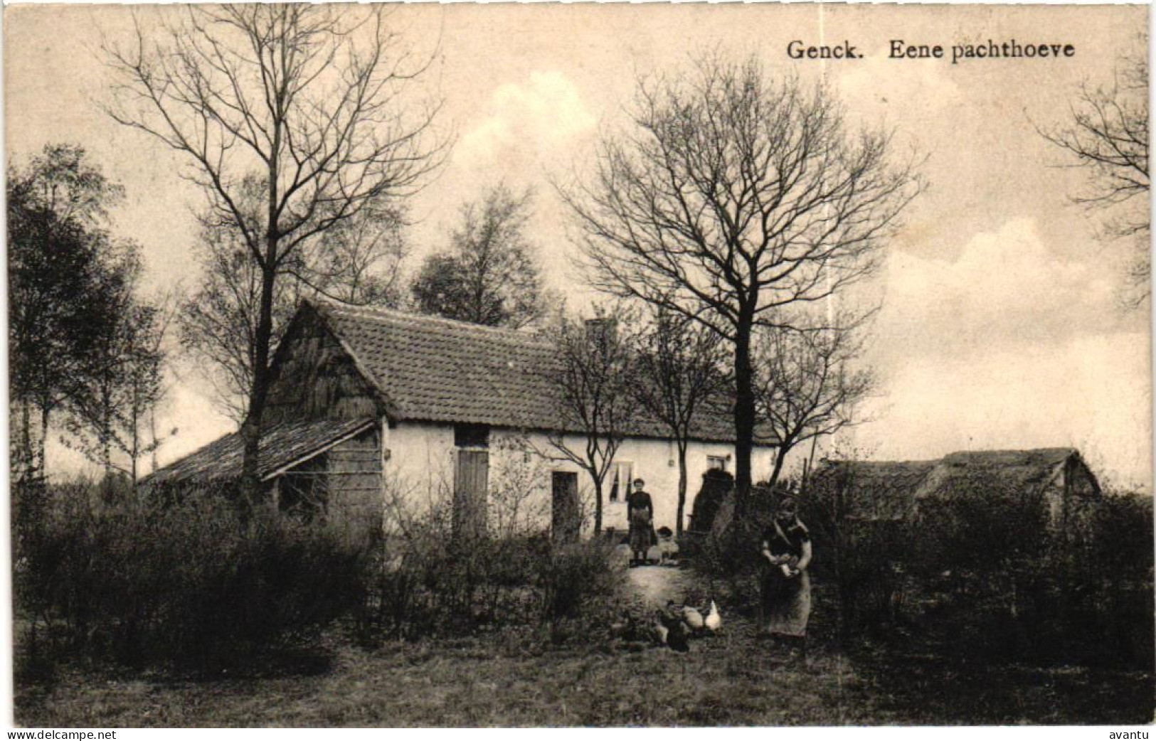 GENK / HOEVE - Genk