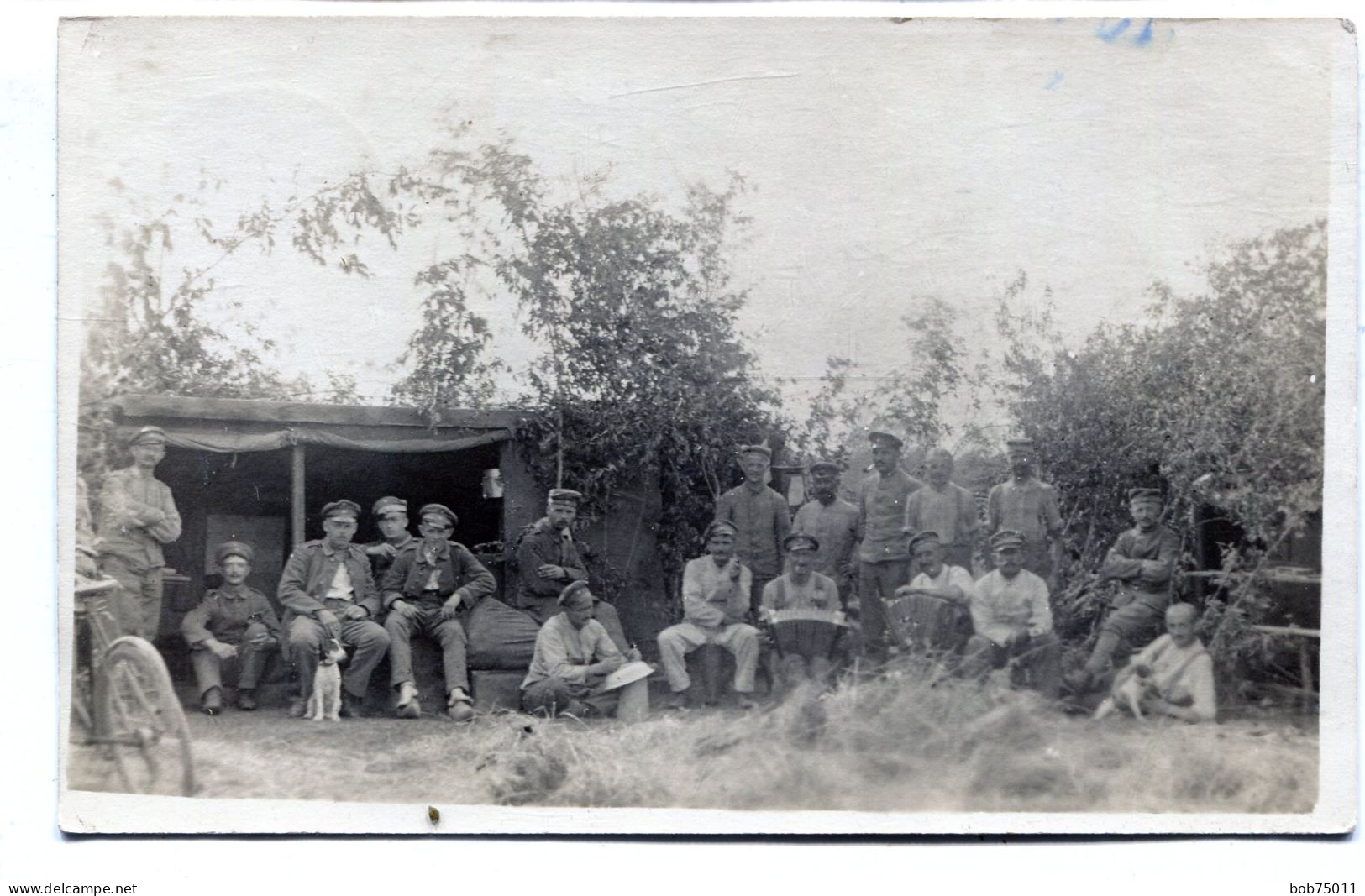 Carte Photo D'officiers Allemand Avec Des Chien Se Reposant Dans Leurs Camp A L'arrière Du Front En 14-18 - 1914-18