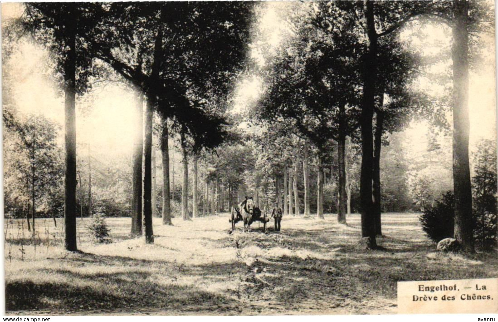 GENK /  LANDSCHAP - Genk