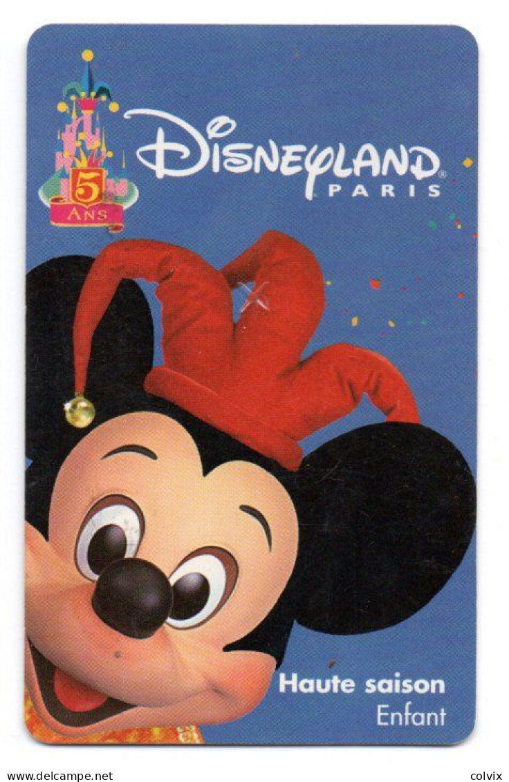 FRANCE PASSEPORT DISNEYLAND PARIS - Disney