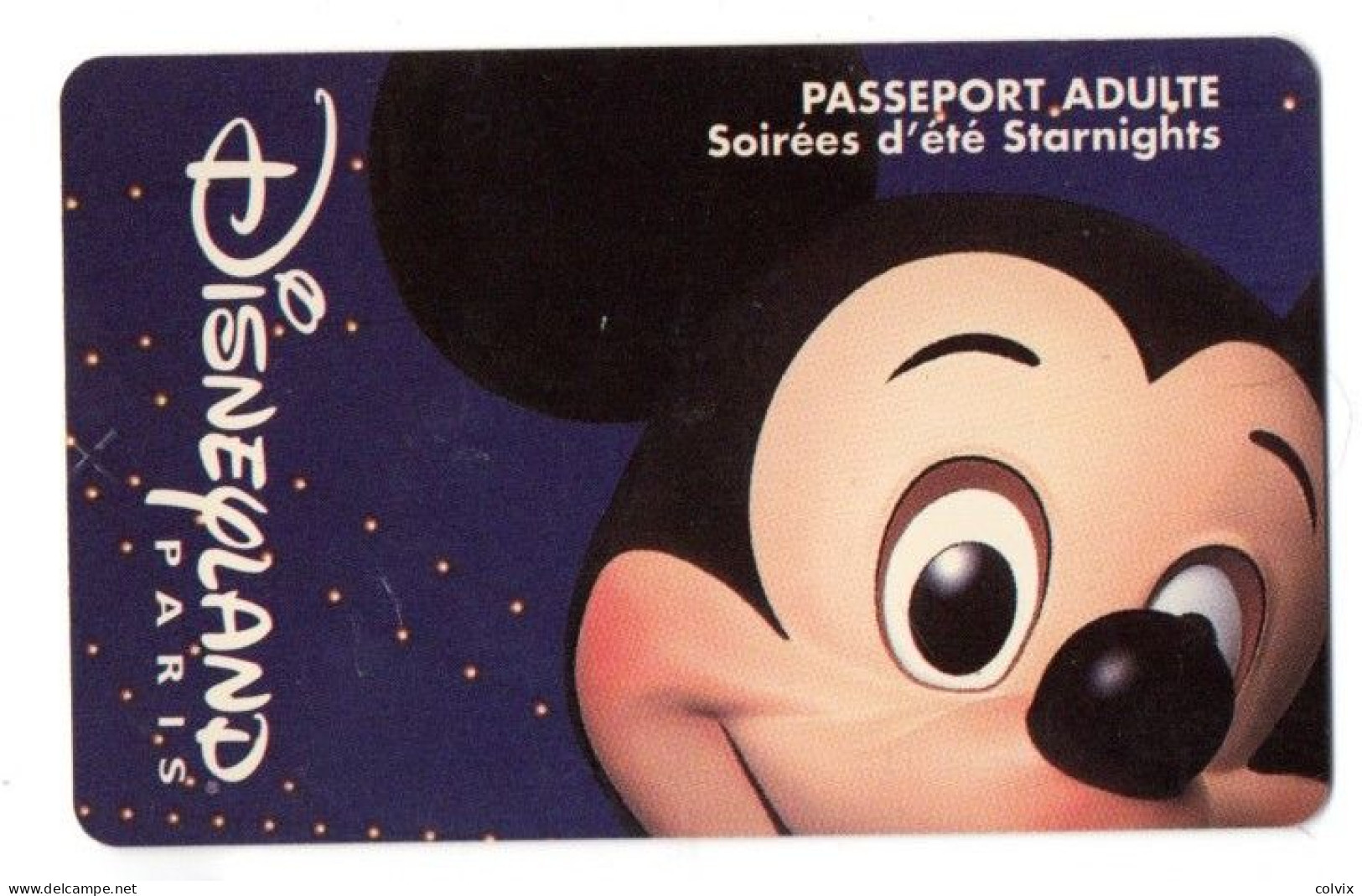 FRANCE PASSEPORT DISNEYLAND PARIS - Disney