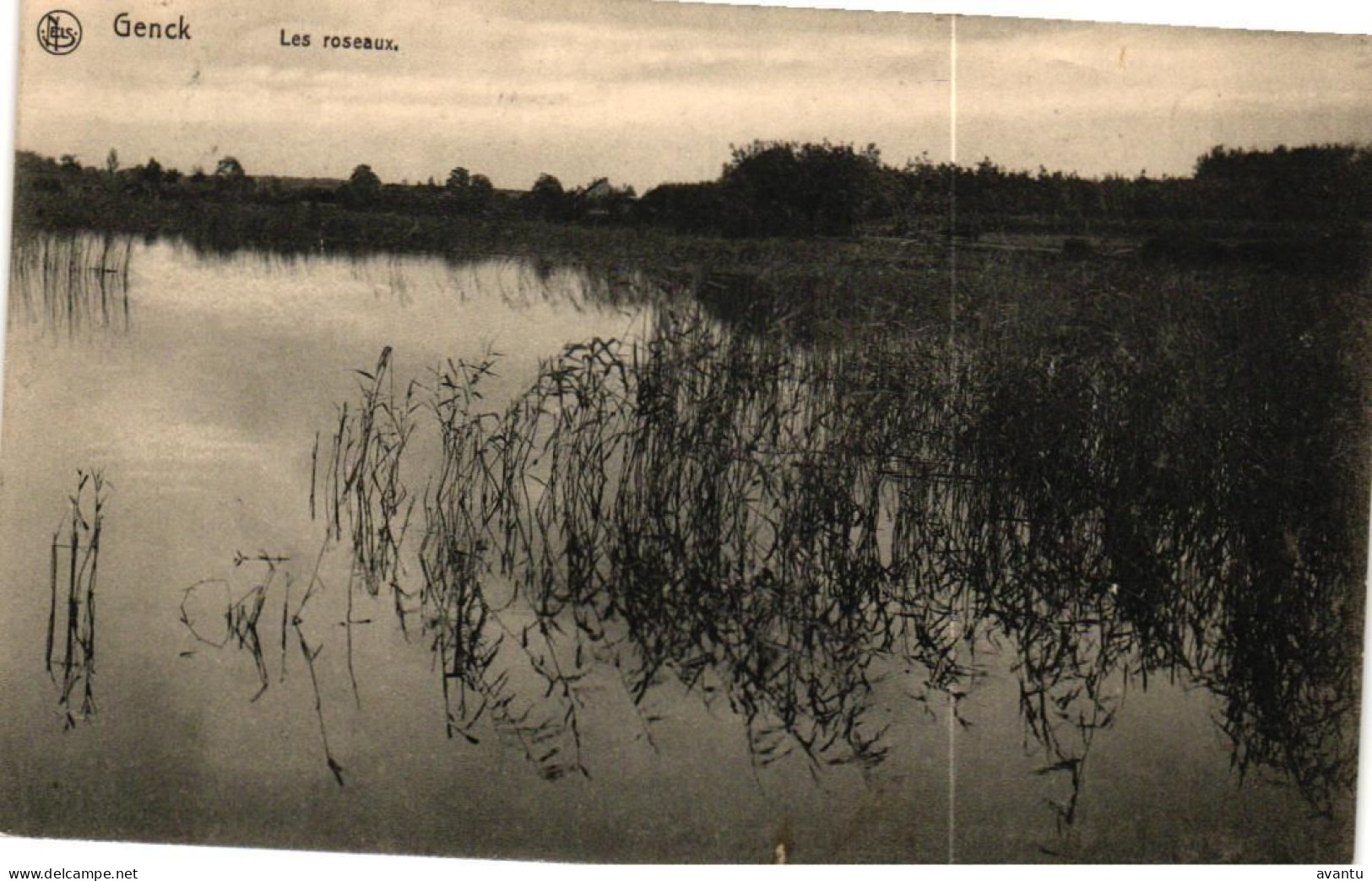 GENK / LANDSCHAP - Genk