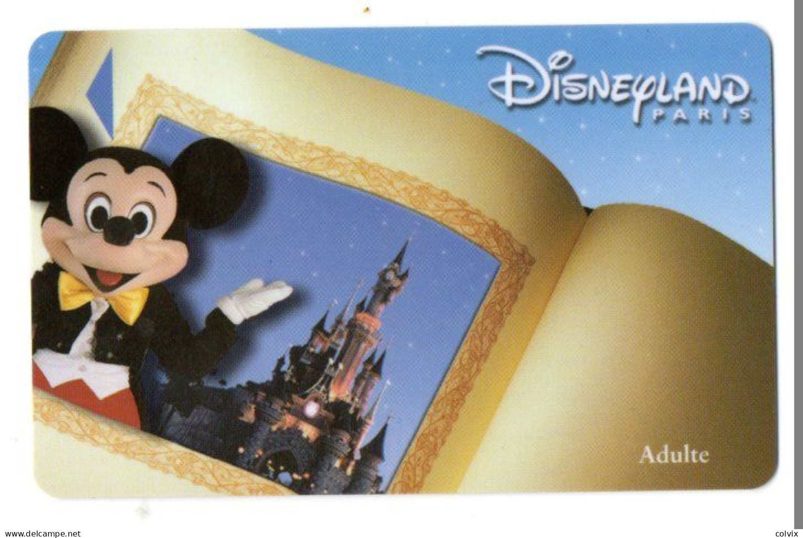 FRANCE PASSEPORT DISNEYLAND PARIS - Disney