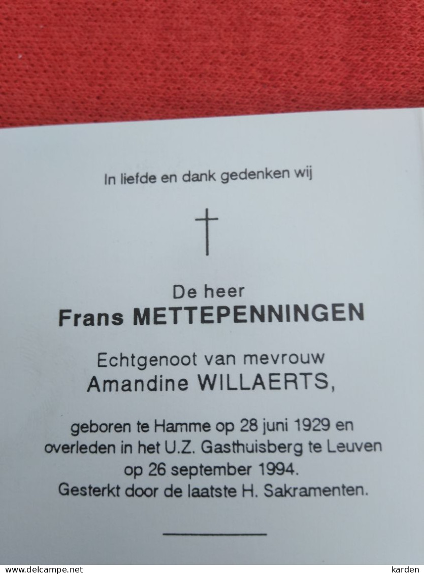 Doodsprentje Frans Mettepenningen / Hamme 28/6/1929 Leuven 26/9/1994 ( Amandine Willaerts ) - Religión & Esoterismo