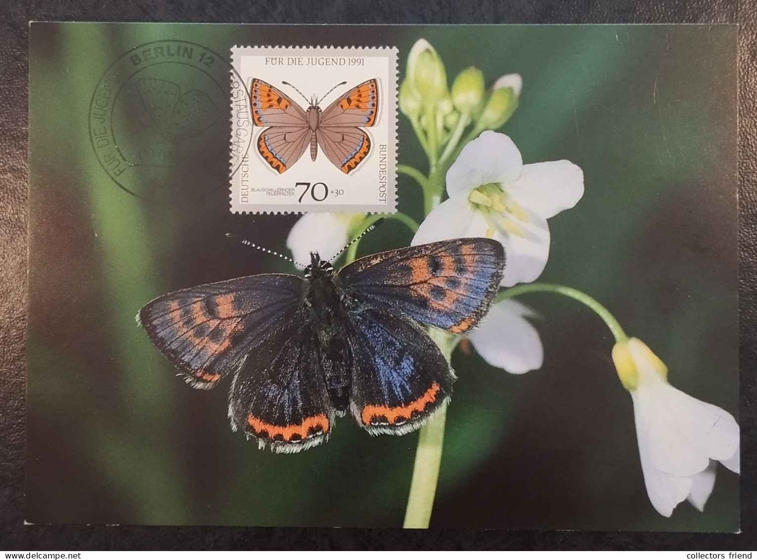 Germany BRD - 1991 - Maximum Card - Gefährdete Schmetterlinge - 1981-2000