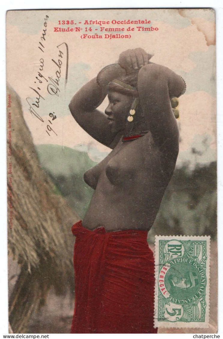 AFRIQUE  AFRIQUE OCCIDENTALE ETUDE ETHNIQUE 1335 ETUDE N° 14 FEMME DE TIMBO (FOUTA DJALON) NUE SEINS  EDIT. FORTIER - Senegal