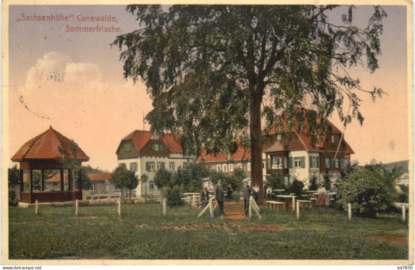 Cunewalde - Sachsenhöhe - Cunewalde