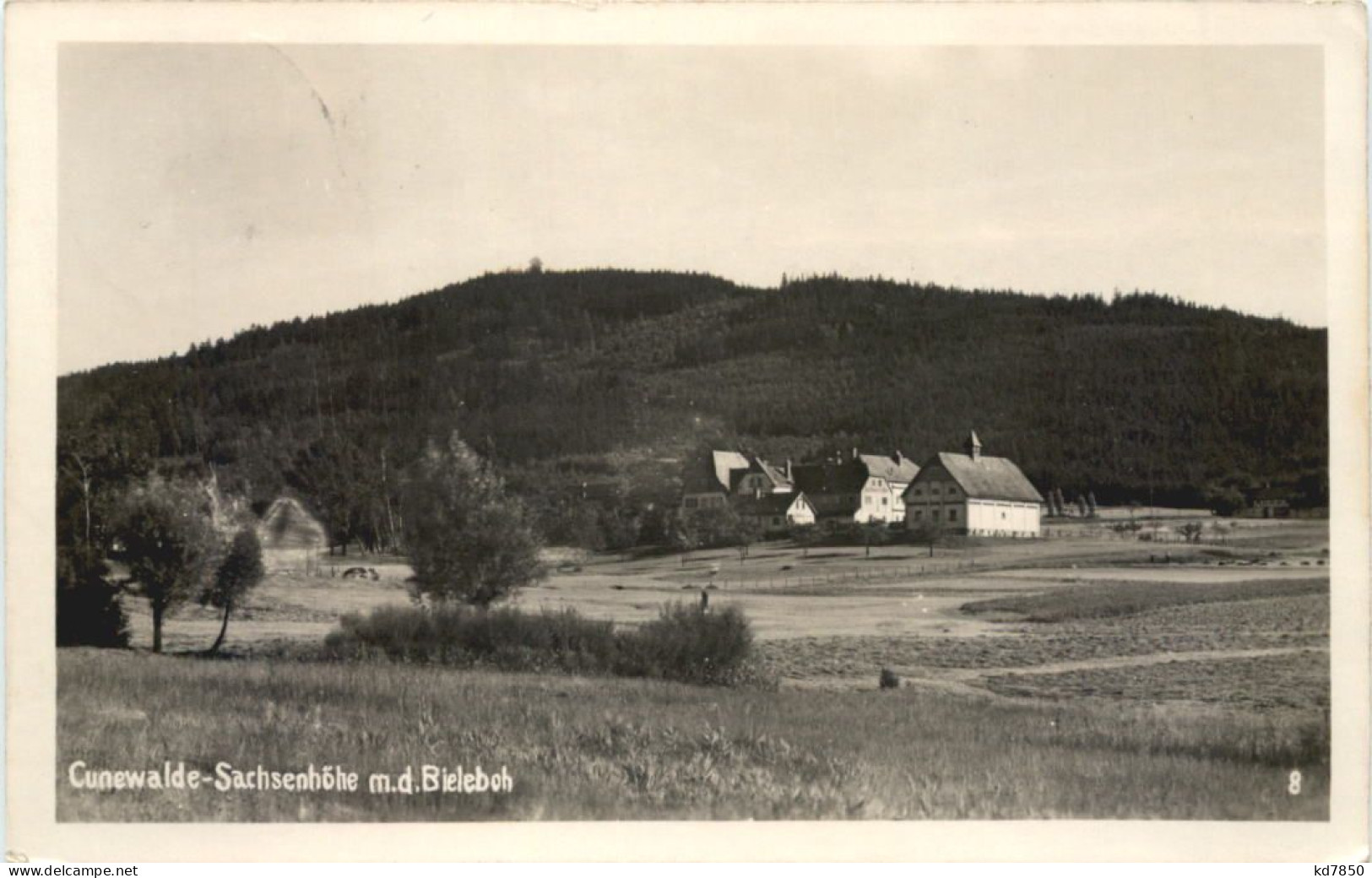 Cunewalde - Sachsenhöhe - Cunewalde