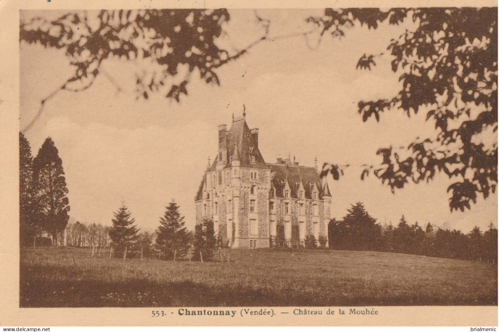 CHANTONNAY  Château De La Mouhée - Chantonnay