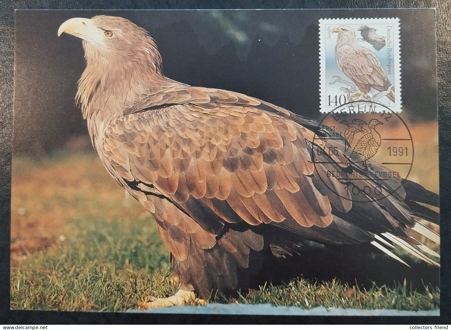 Germany BRD - 1991 - Maximum Card - Seeadler - Bedrohte Seevögel - 1981-2000