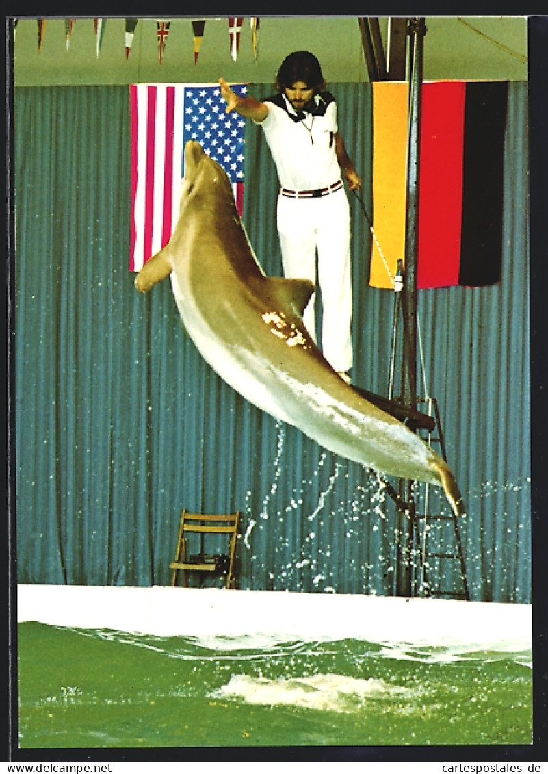 AK Sierksdorf, Delphin Springt Aus Dem Wasser, Florida Delphin-Show Im Hansaland  - Sierksdorf