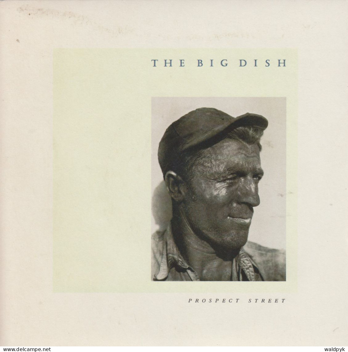 THE BIG DISH - Prospect Street - Other - English Music