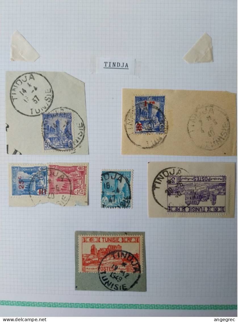 Tunisie Lot Oblitération  Choisies  de  Tindja  Dont Fragment    Voir Scan - Used Stamps
