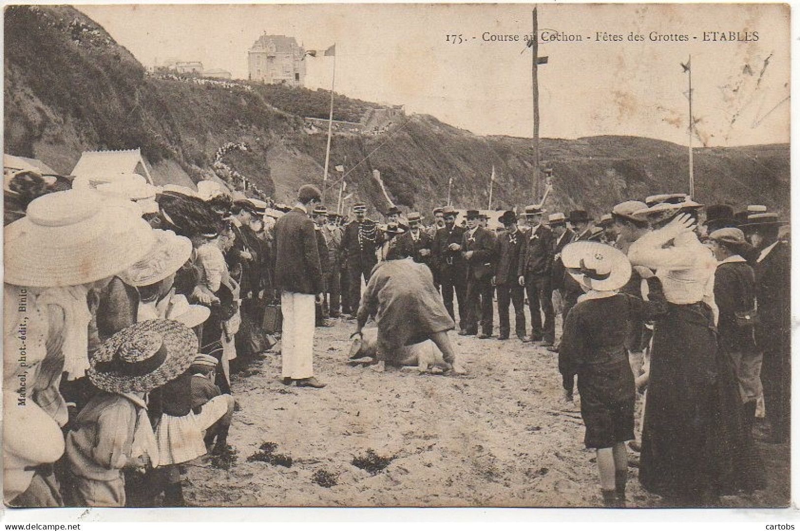 22 ETABLES Course Au Cochon - Fête Des Grottes  - Etables-sur-Mer