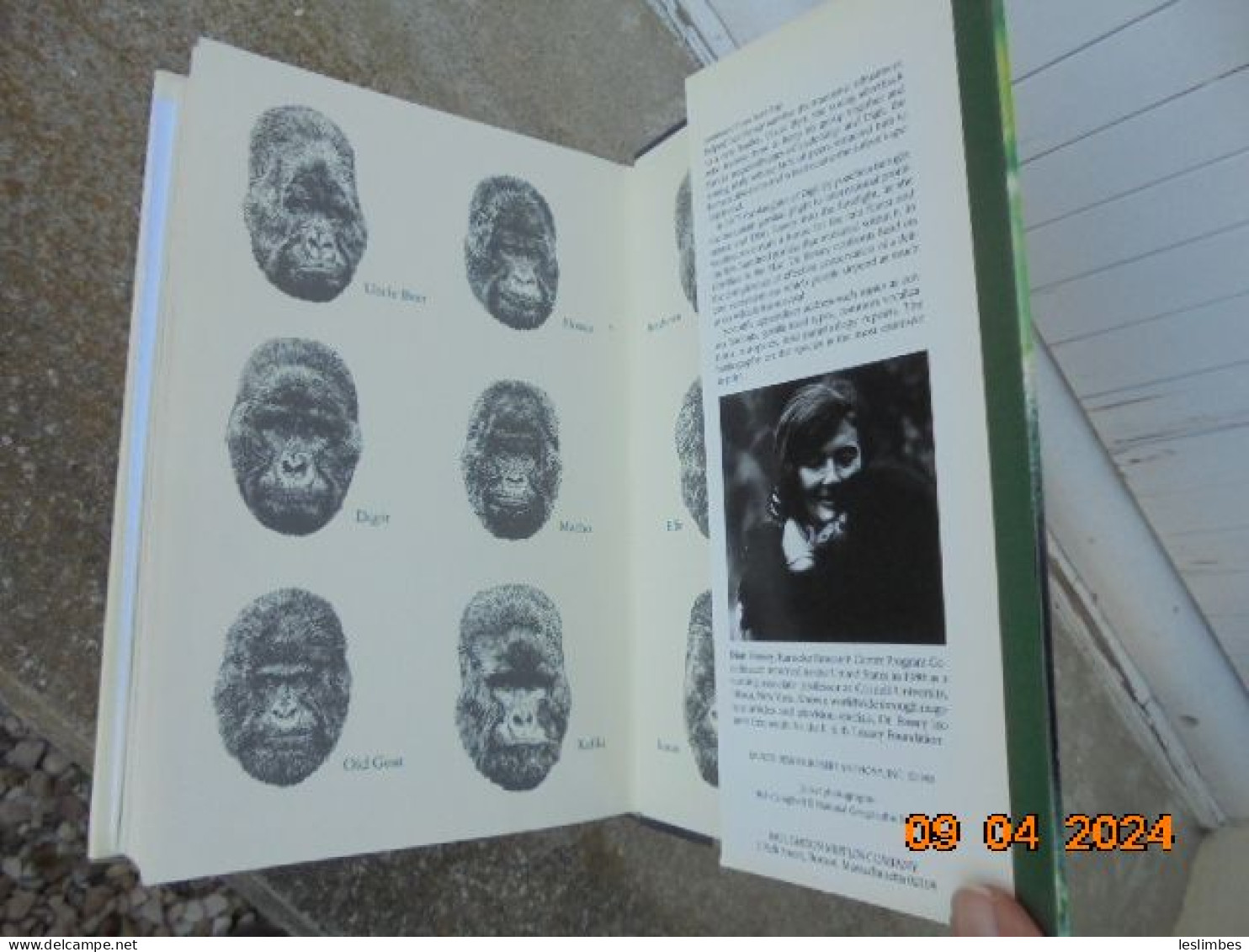 Gorillas In The Mist - Dian Fossey - Houghton Mifflin Company 1983 - Andere & Zonder Classificatie