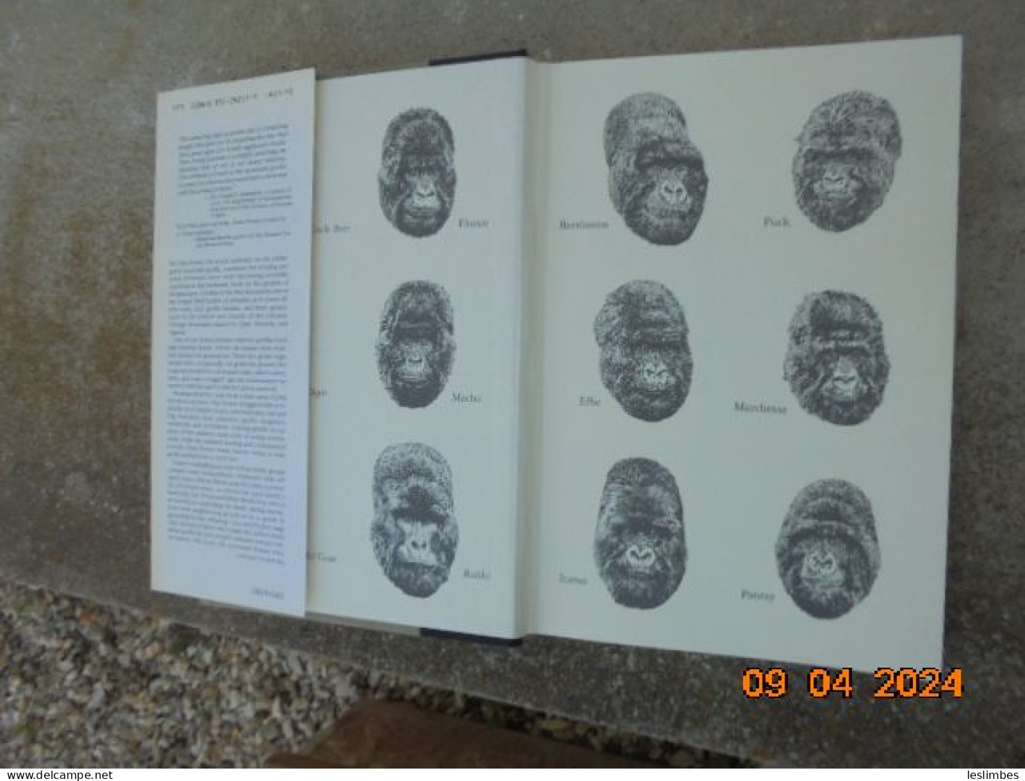 Gorillas In The Mist - Dian Fossey - Houghton Mifflin Company 1983 - Otros & Sin Clasificación