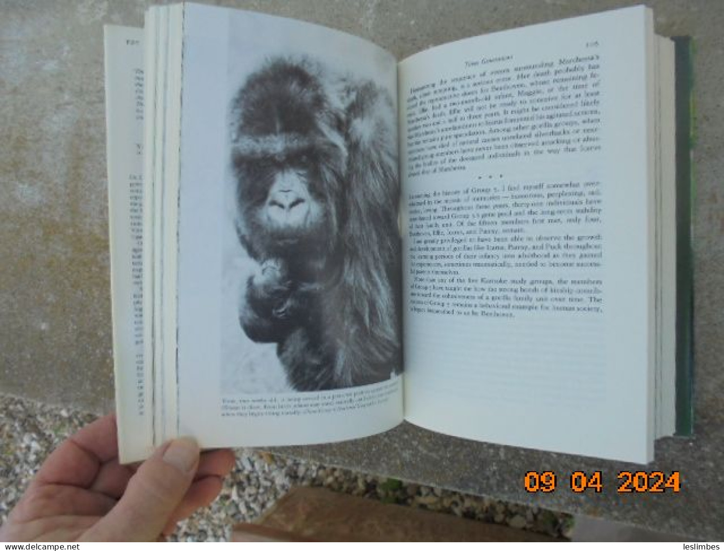 Gorillas in the Mist - Dian Fossey - Houghton Mifflin Company 1983