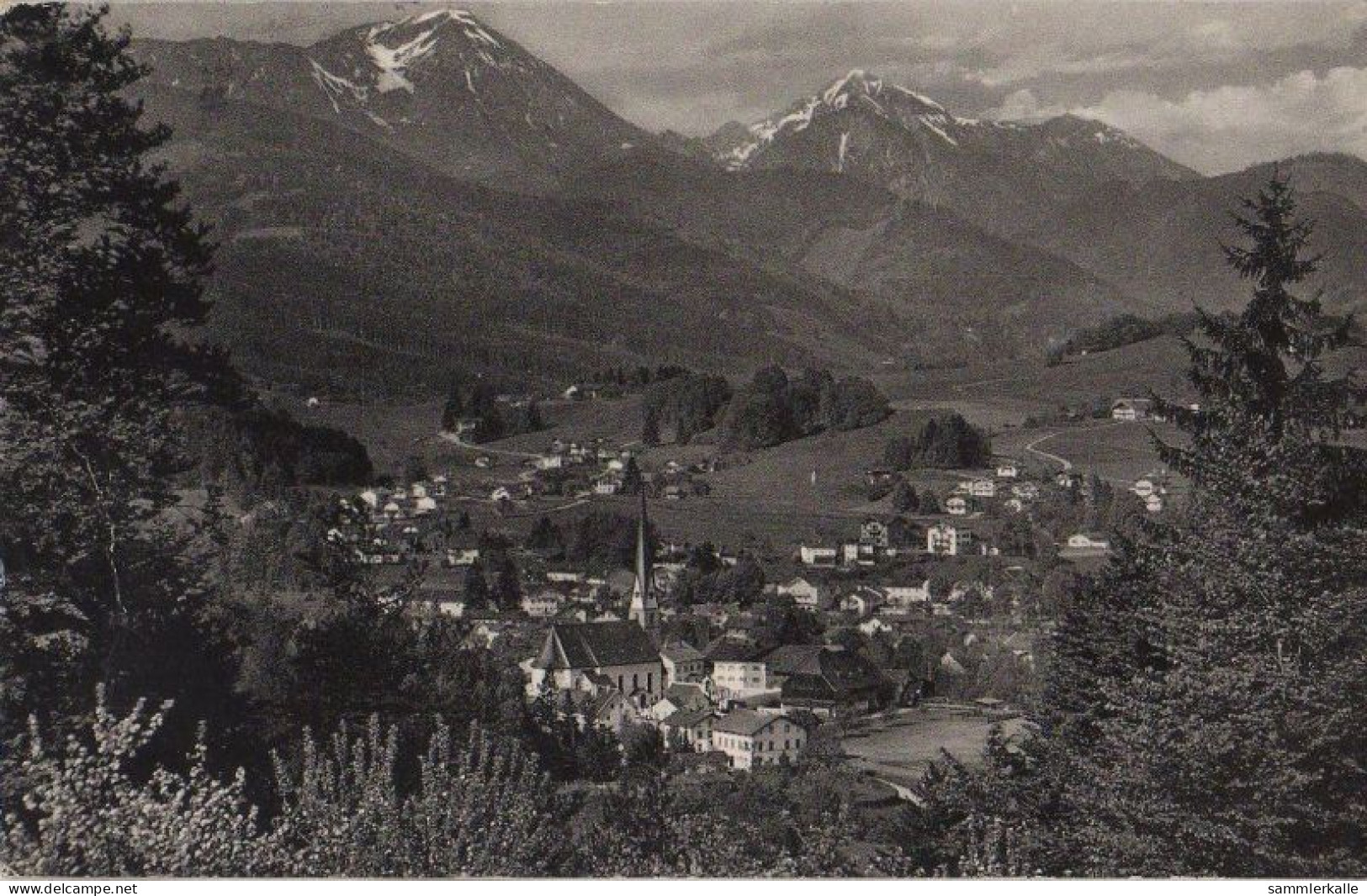 31017 - Siegsdorf - Blick Zum Hochfelln - 1964 - Traunstein